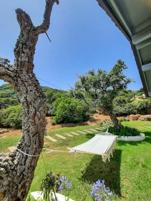 Casa Micheal - Luxury Villa - El Cuarton, Tarifa Exteriör bild
